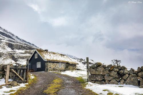 Faroe Islands Suzi Kira