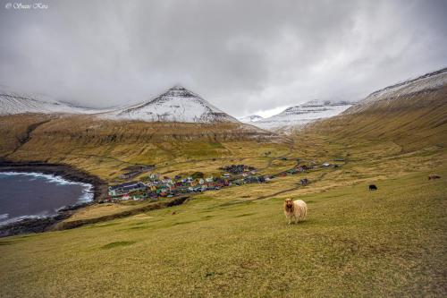 Faroe Islands Suzi Kira