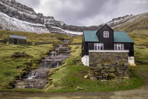 Faroe Islands Suzi Kira