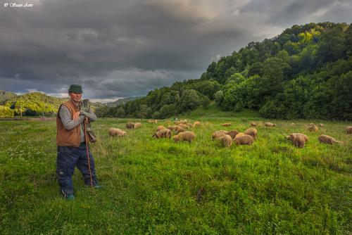 רומניה Romania